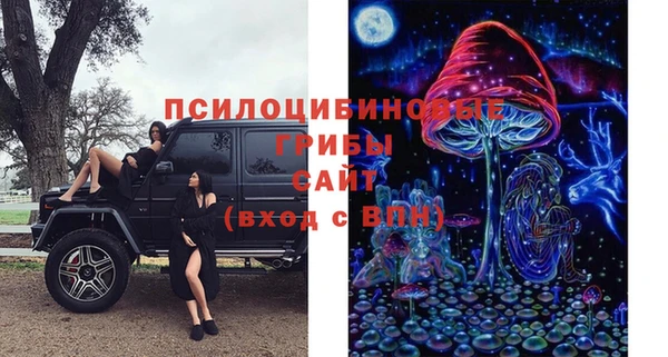 ECSTASY Алексин